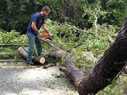 Best Utility Line Clearance  in Palouse, WA